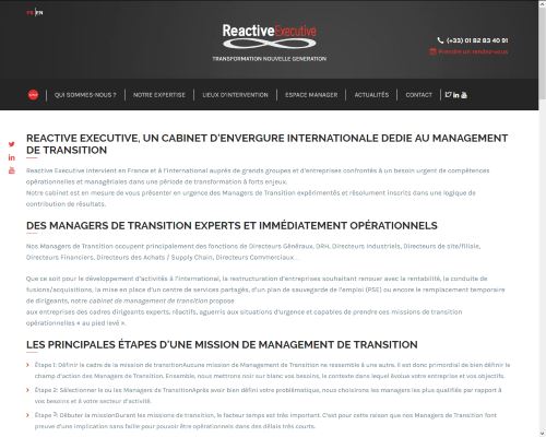 Copie d'écran du projet Reactive Executive